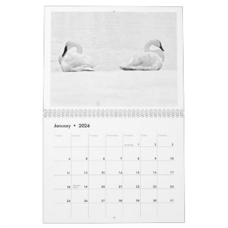 Calendrier Nature's Perspectives - 2026 Wall Calendar