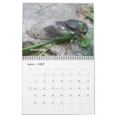 Calendrier - Ne pas avoir de bogues de respect (Mar 2027)