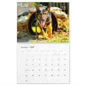 Calendrier « NE TOUCHEZ PAS » - Chiens de Travail (Jan 2027)