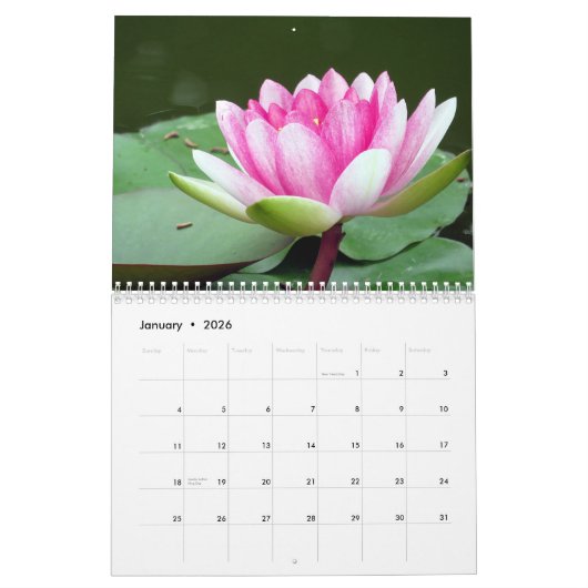 Calendrier Nénuphars 2017 (Jan 2026)