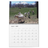 Calendrier Nevada Ranch Life (Mar 2027)