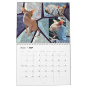 Calendrier New 2026 Calendar (Mar 2027)