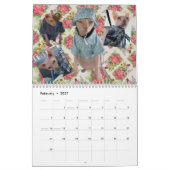 Calendrier New 2026 Calendar (Feb 2027)