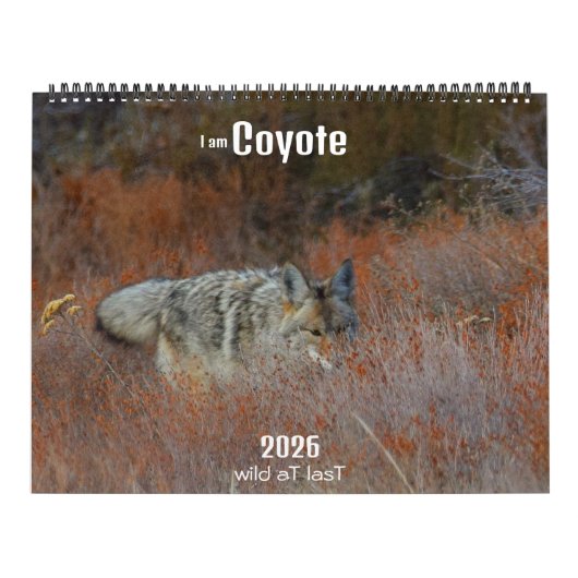 Calendrier New! 'I am Coyote' 2026 calendar (Protection)