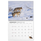 Calendrier New! 'I am Coyote' 2026 calendar (Feb 2026)