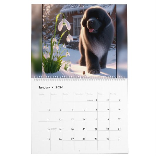 Calendrier Newfs en fleurs (Jan 2026)