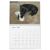 Calendrier noir de labrador retriever de (Jan 2026)