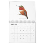Calendrier nord-américain des colibris (Mar 2027)