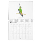 Calendrier nord-américain des colibris (Feb 2027)