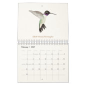 Calendrier nord-américain des colibris (Feb 2027)