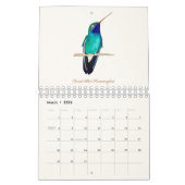 Calendrier nord-américain des colibris (Mar 2026)