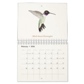 Calendrier nord-américain des colibris (Feb 2026)