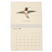 Calendrier nord-américain des colibris (Jan 2027)