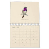 Calendrier nord-américain des colibris (Mar 2027)