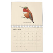 Calendrier nord-américain des colibris (Mar 2026)