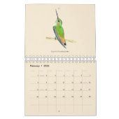Calendrier nord-américain des colibris (Feb 2026)