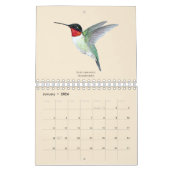 Calendrier nord-américain des colibris (Jan 2026)