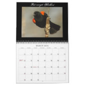 Calendrier nord-américain d'oiseaux (Mar 2026)