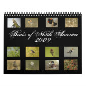 Calendrier nord-américain d'oiseaux (Protection)