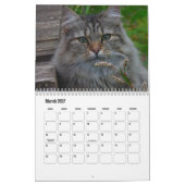 Calendrier norvégien des chats de forêt (Mar 2027)
