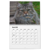 Calendrier norvégien des chats de forêt (Mar 2026)