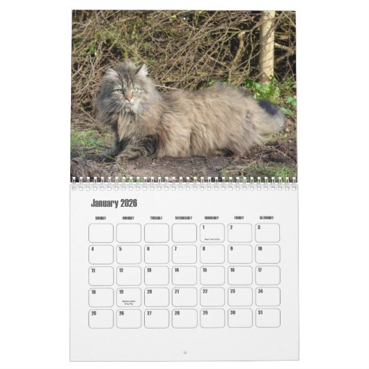 Calendrier norvégien des chats de forêt (Jan 2026)