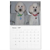 Calendrier Nos Belles Poodles Standard 2011 (Feb 2027)