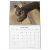 Calendrier Notre année (Feb 2027)