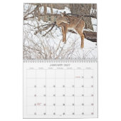 Calendrier Notre beau monde #7 (Jan 2027)