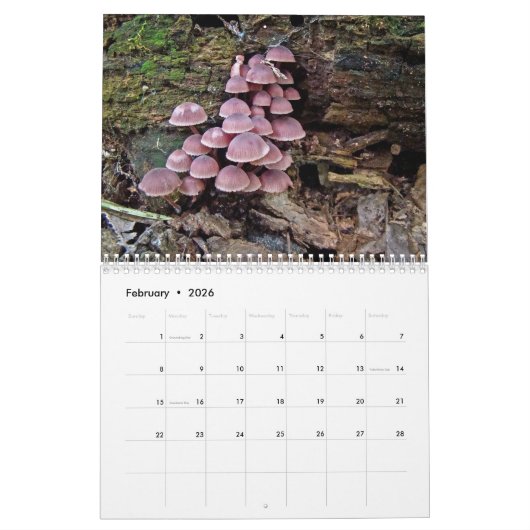 Calendrier ~ Notre merveilleux monde #4 (Feb 2026)