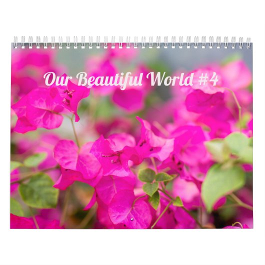 Calendrier ~ Notre merveilleux monde #4 (Protection)