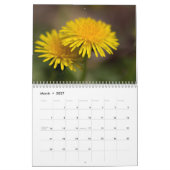 Calendrier ~ Notre merveilleux monde #4 (Mar 2027)