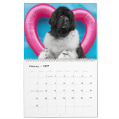 Calendrier Notta Bear à travers l'année (Feb 2027)