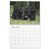 Calendrier Notta Bear à travers l'année (Mar 2027)