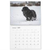 Calendrier Notta Bear à travers l'année (Jan 2027)