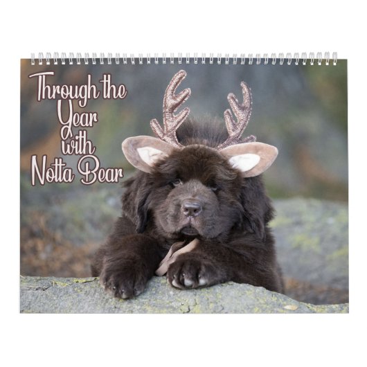 Calendrier Notta Bear à travers l'année (Protection)