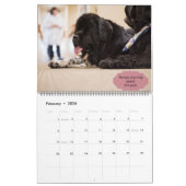 Calendrier Notta Bear Chiens de thérapie des Terre-Neuve (Feb 2026)