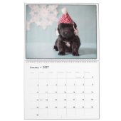 Calendrier Notta Bear Terre-Neuve Plus de chiots (Jan 2027)