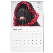 Calendrier Notta Bear Terre-Neuve Versets (Feb 2027)