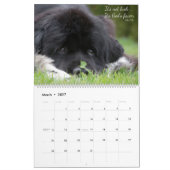 Calendrier Notta Bear Terre-Neuve Versets (Mar 2027)