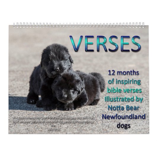 Calendrier Notta Bear Terre-Neuve Versets (Protection)