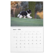 Calendrier Nouveau bébé (Mar 2026)