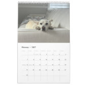 Calendrier Nouvel an avril (Feb 2027)