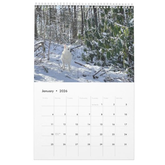 Calendrier Nouvel an avril (Jan 2026)