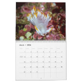 Calendrier Nudibranchs & Boues de mer (Mar 2026)