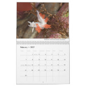 Calendrier Nudibranchs de Californie (Feb 2027)