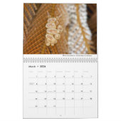 Calendrier Nudibranchs de Californie (Mar 2026)