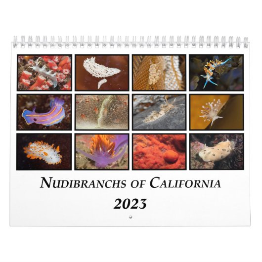 Calendrier Nudibranchs de Californie (Protection)