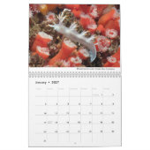 Calendrier Nudibranchs de Californie (Jan 2027)