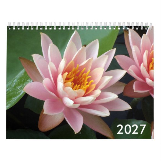 Calendrier Nymphéas 2027 (Protection)